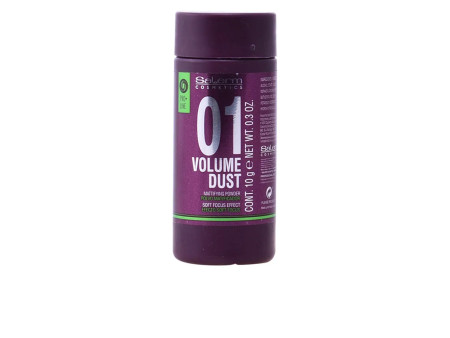 Salerm Cosmetics 01 Volume Dust Matifying Powder 10g