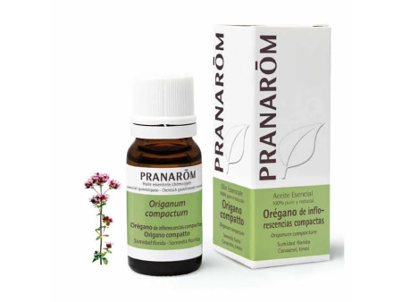 Pranarom Oregano Compact Flowering Top Essential Oil 10ml
